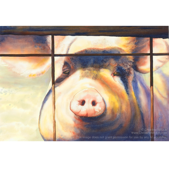 Humphrey – Cute Original Pig Watercolor Portrait