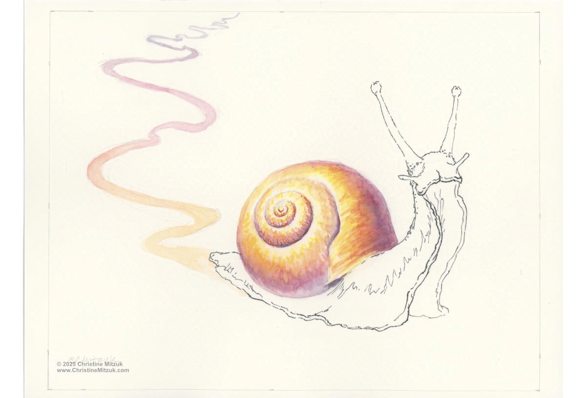 Colorful Watercolor Snail
